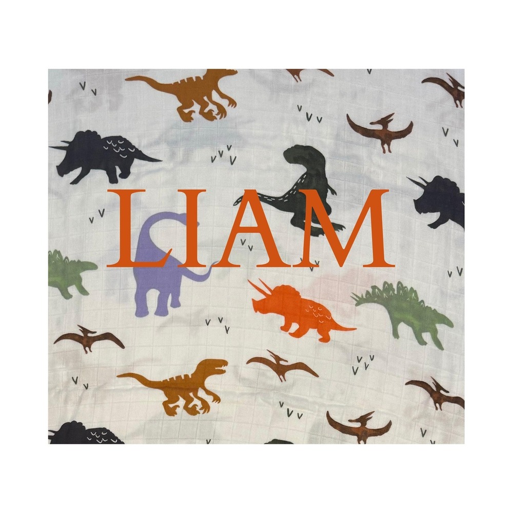 Personalized Infant Bamboo Swaddle Blanket in Dino pattern